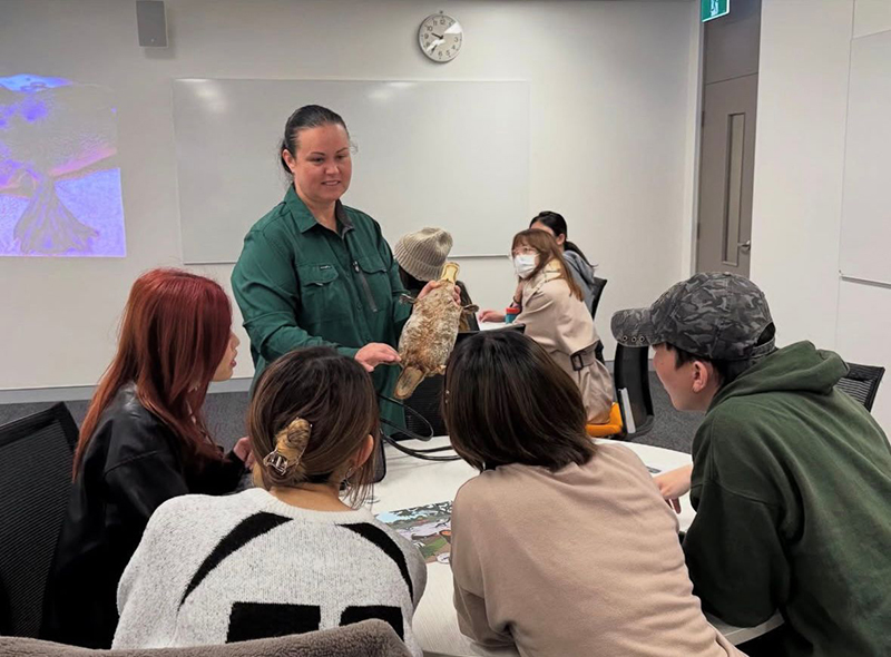 DTUP｜Global Integration Tour to Australia