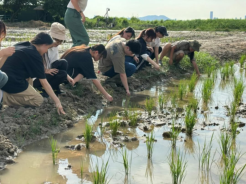 DTUP｜Wetland Farming Field Trip in Mai Po