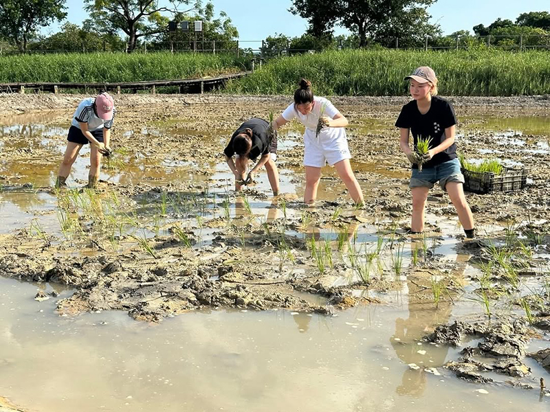 DTUP｜Wetland Farming Field Trip in Mai Po