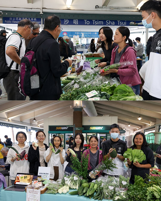 DTUP｜Student Showcase Local Organic Product Through Art, Technology, and Creativity
