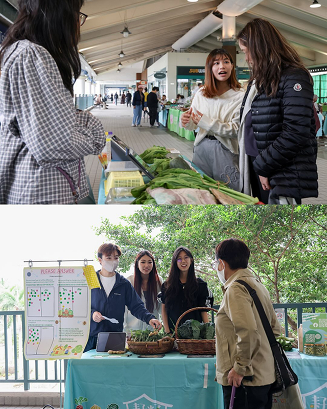 DTUP｜Student Showcase Local Organic Product Through Art, Technology, and Creativity