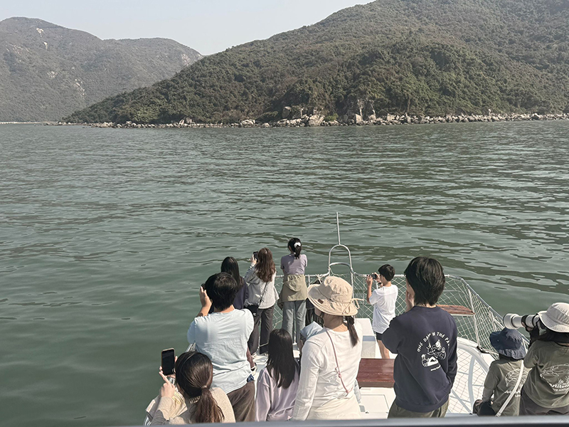DTUP｜Dolphin Watching Eco-Tour at North Lantau Marine Park