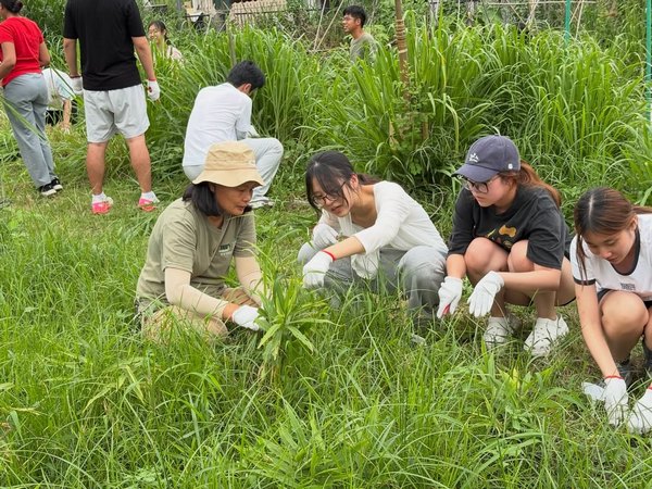 DTUP｜HKBU Global Challenges II x SEED Organic Farm Field Trip