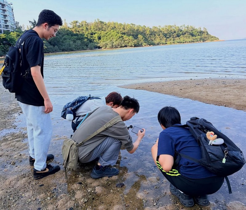 DTUP｜Exploring the Shoreline: Hands-On Coastal Science in Action! 🦀🐚🪶