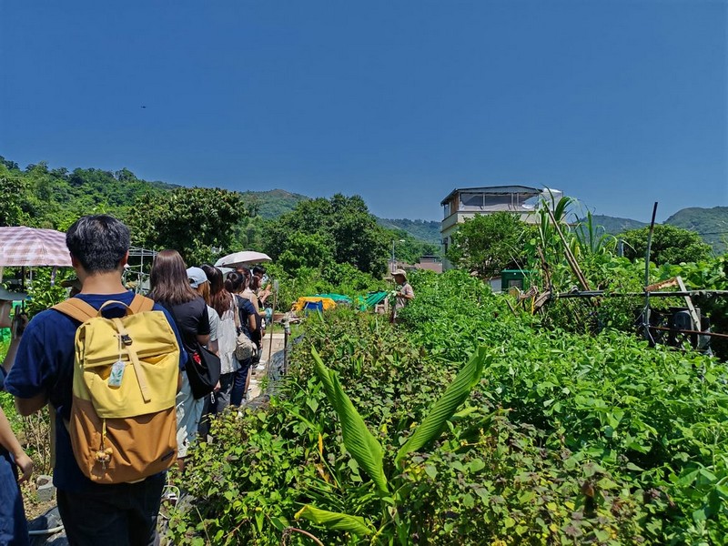DTUP｜Step out of the classroom! Head to Mui Wo to learn about local agriculture 🌱🥬