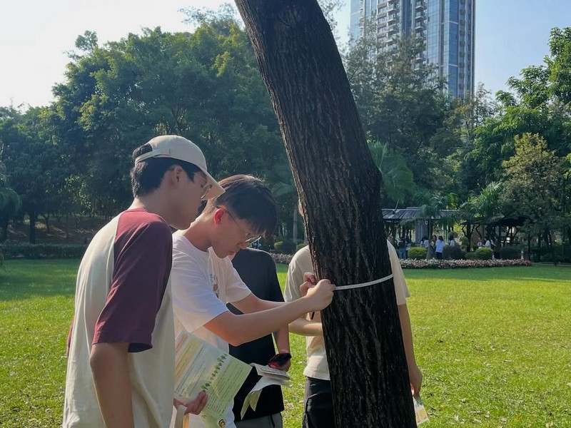 DTUP｜Global Challenges I Students Participated in the Urban Forest Program