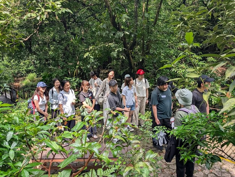 DTUP｜Experiential learning activities at Kadoorie Farm and Botanic Garden