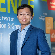 Prof. Yang LIU